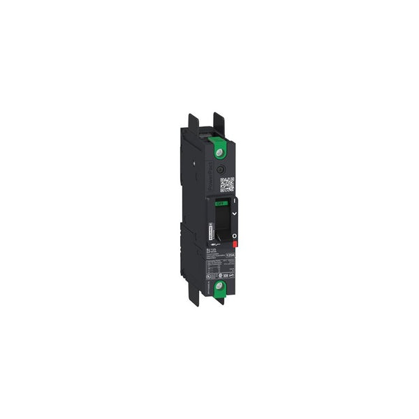 BDF16050 Schneider Electric