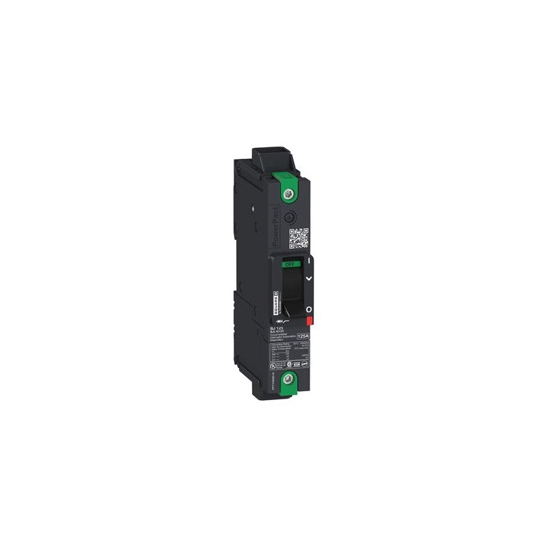 BDL16020 Schneider Electric