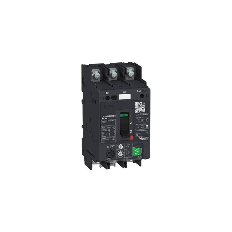 GV4PEM50S6 Schneider Electric