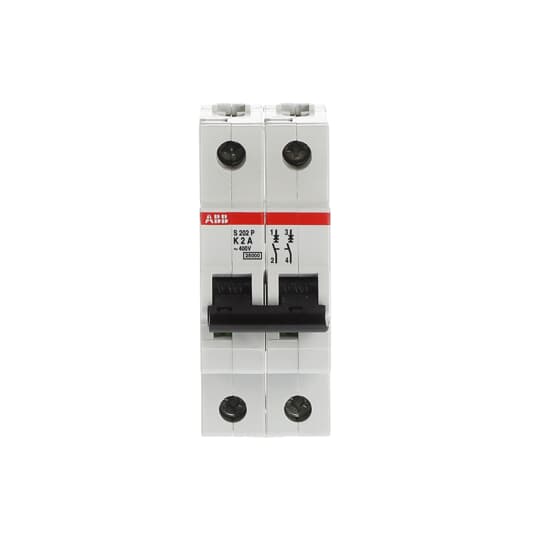 2CDS282001R0277 ABB - S202P-K2